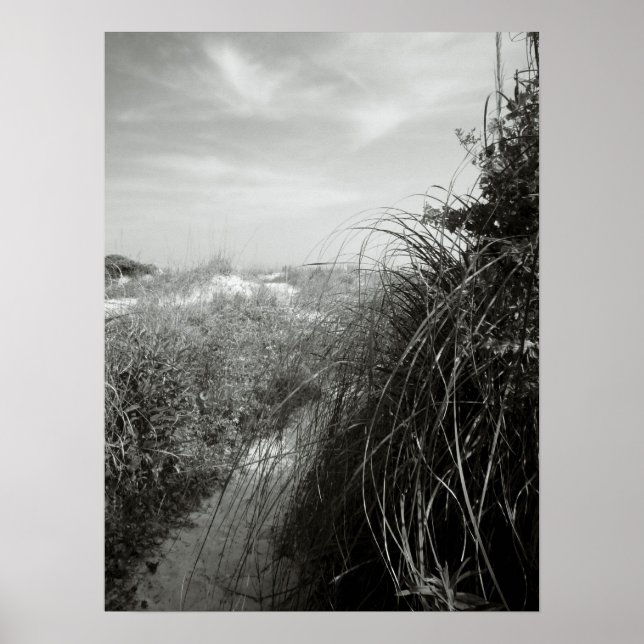 Path Through the Dunes – Rustic Coastal Poster (Front)