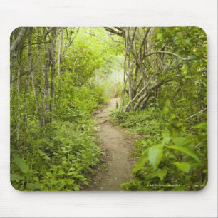 Path through the forest mouse pad