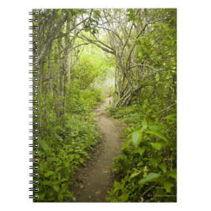 Path through the forest notebook