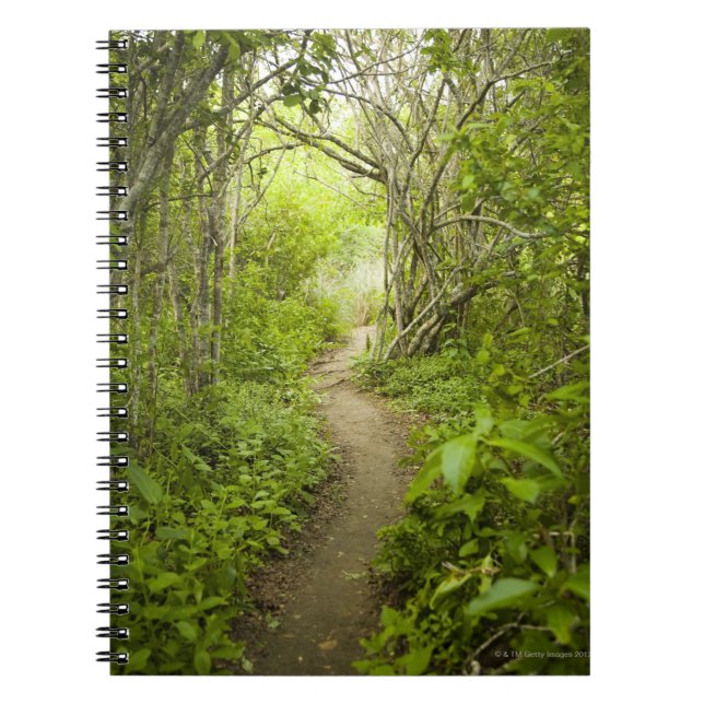 Path through the forest notebook (Front)