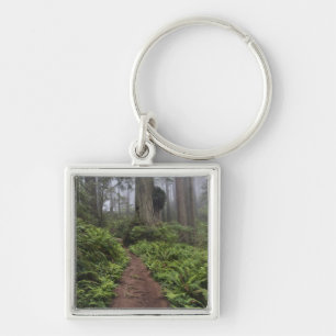 Path through the giant redwood trees shrouded 2 keychain