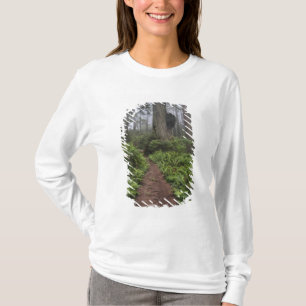 Path through the giant redwood trees shrouded 2 T-Shirt