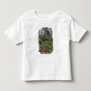 Path through the giant redwood trees shrouded 2 toddler t-shirt