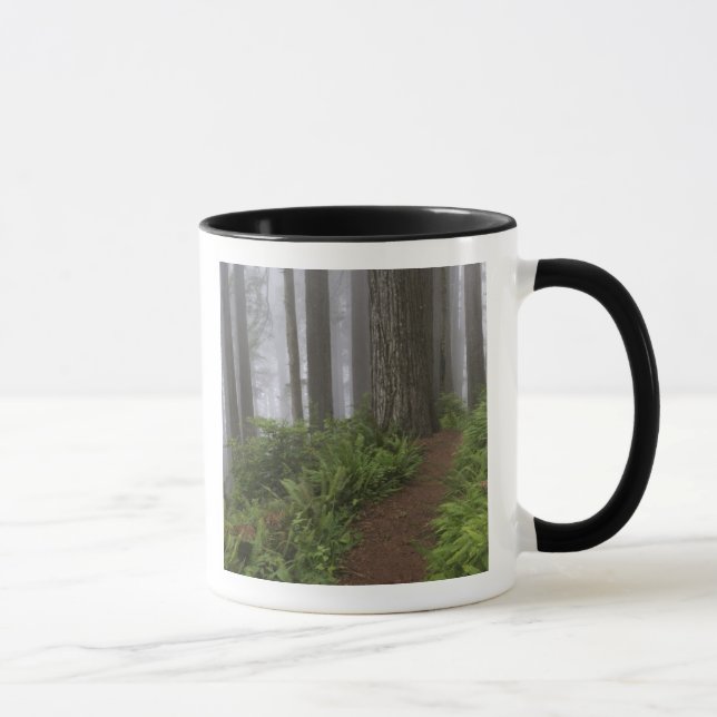 Path through the giant redwood trees shrouded mug (Right)