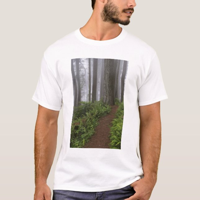 Path through the giant redwood trees shrouded T-Shirt (Front)