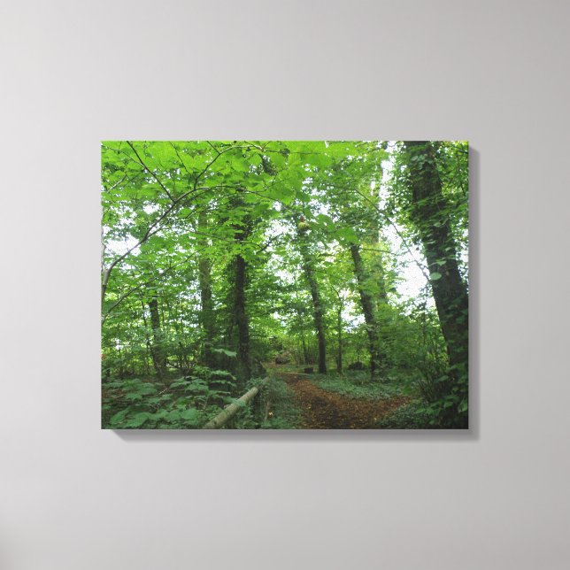 Path through the Green Forest Canvas Print (Front)