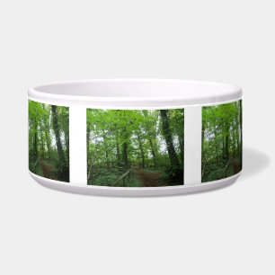 Path through the Green Forest Dog Bowl