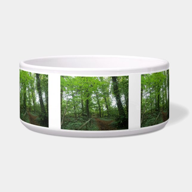 Path through the Green Forest Dog Bowl (Front)