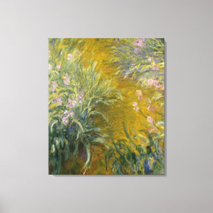 Path through the Irises Canvas Print