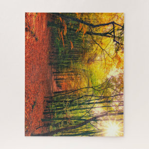 Path Through the Trees in Autumn Jigsaw Puzzle