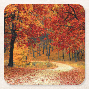 Path Through the Trees in Autumn Square Paper Coaster