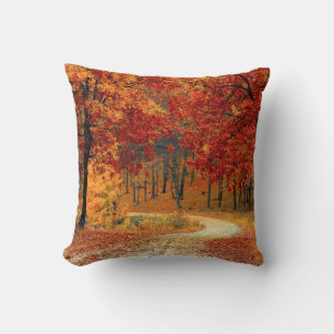 Path Through the Trees in Autumn Throw Pillow