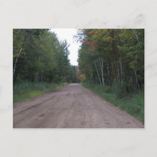 Path Through the woods Postcard