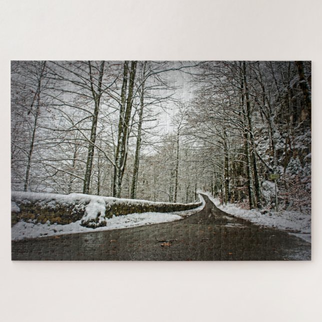 Path to Dreamland - German Forest - 20x30-1014 pc Jigsaw Puzzle (Horizontal)