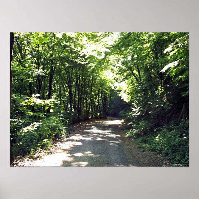 Path to Infinity Poster (Front)