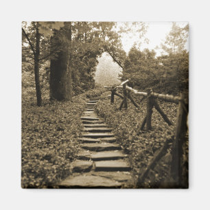 Path To Light Magnet