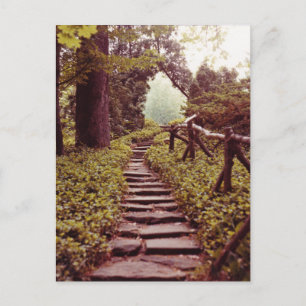 Path To Light Postcard