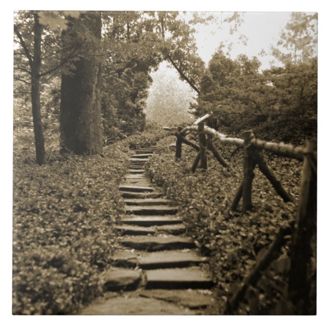 Path To Light Tile (Front)