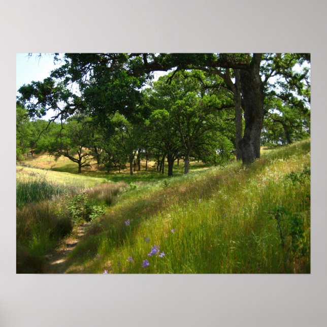 "Path to Quiet" Poster (Front)