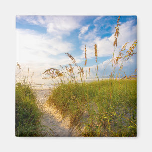Path to the Beach Magnet