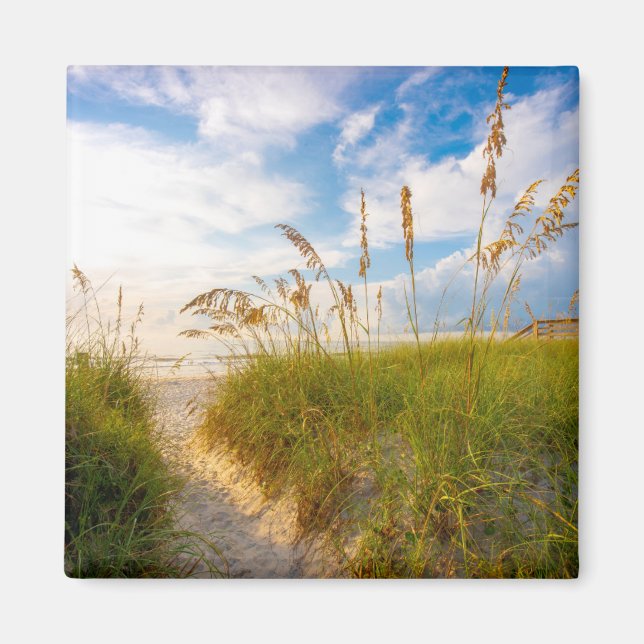 Path to the Beach Magnet (Front)