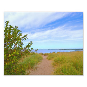 Path To The Beach Photo Print