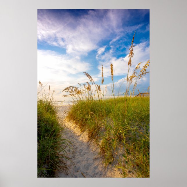 Path to the Beach Poster (Front)