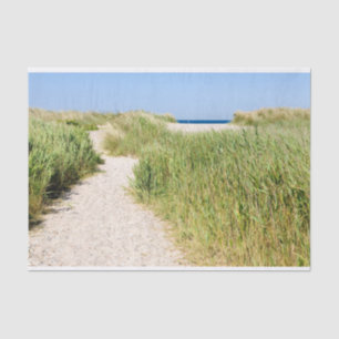 Path to the beach tissue paper