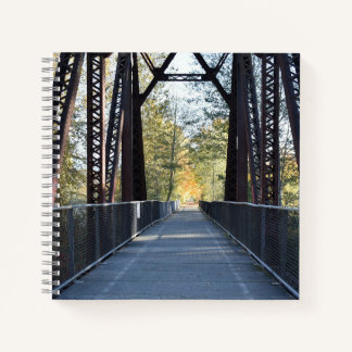 path to the sunlight  notebook