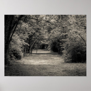 Path to the Unknown Poster