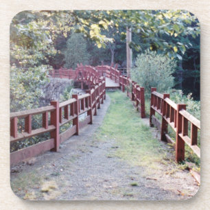 Path Unknown Coaster