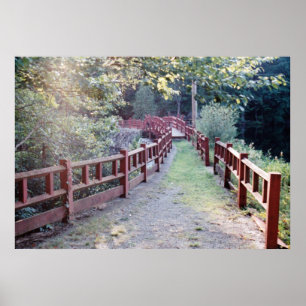 Path Unknown Poster