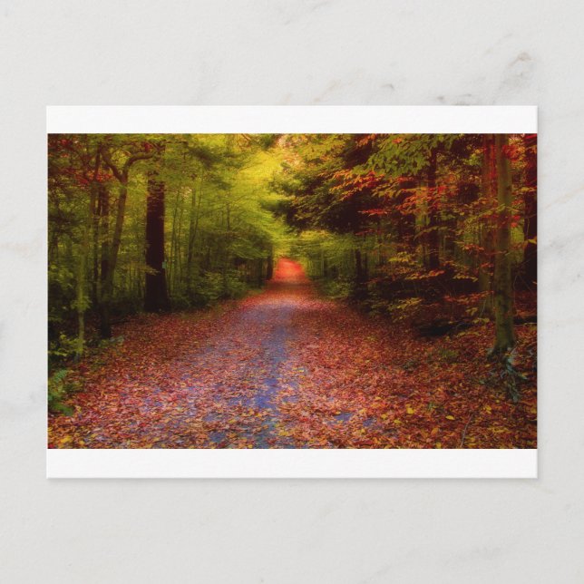 Paths in Nature Postcard (Front)