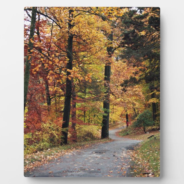 Paths Plaque (Front)