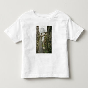 Pathway and small bridge, Yellow Mountain, Toddler T-shirt
