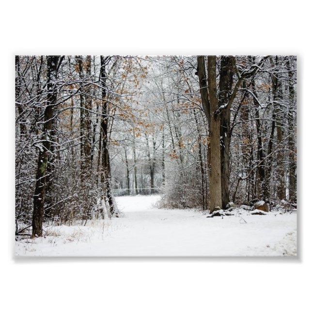Pathway Between 7x5 Photographic Print (Front)
