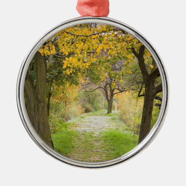 Pathway in Autumn Metal Ornament (Front)