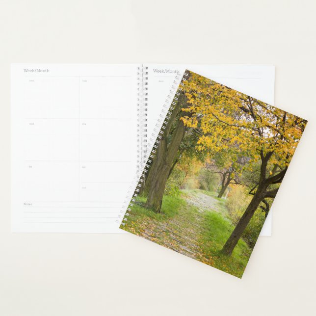Pathway in Autumn Planner (Display)