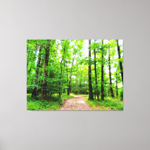 Pathway in Lush Green Forest Canvas Print