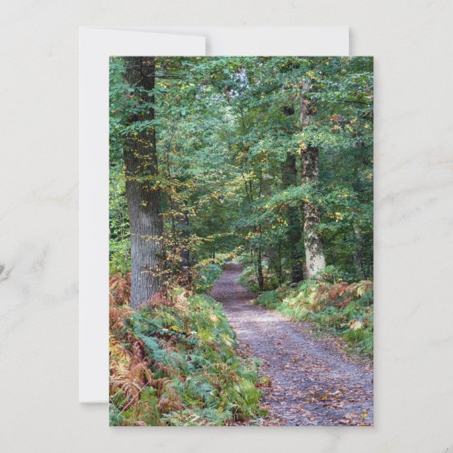 Pathway in the autumn forest, Saint Germain Forest Invitation (Front)