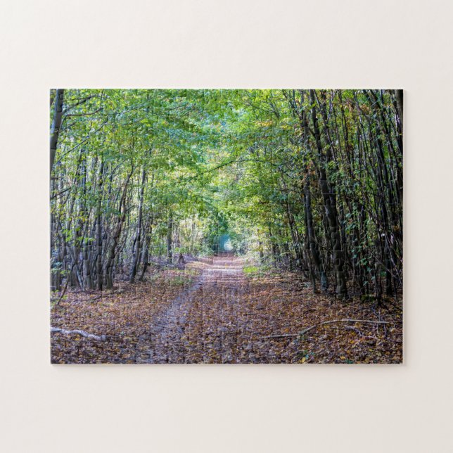 Pathway in the autumn forest, Saint Germain Forest Jigsaw Puzzle (Horizontal)
