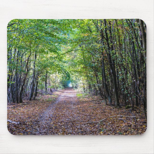 Pathway in the autumn forest, Saint Germain Forest Mouse Pad (Front)