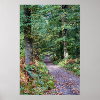 Pathway in the autumn forest, Saint Germain Forest