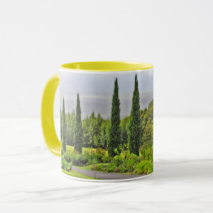 PATHWAY LINED WITH CYPRESS TREES MUG