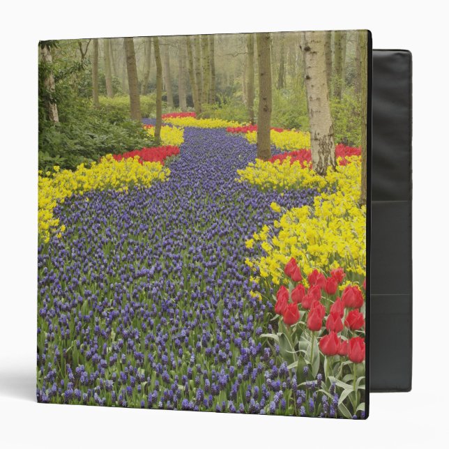 Pathway of Grape Hyacinth, daffodils, and Binder (Front/Inside)