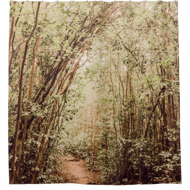 PATHWAY SURROUNDED WITH TALL AND GREEN TREES (Front)