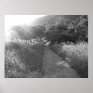 Pathway to Light Poster