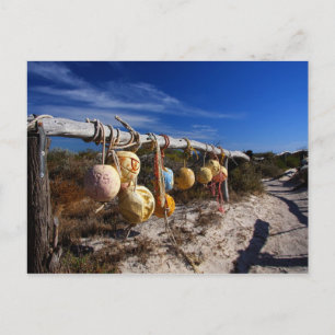 Pathway to the Beach - Dongara - Western Australia Postcard