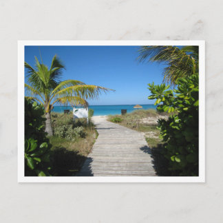 Pathway to the ocean postcard