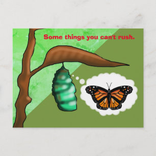 PATIENCE BUTTERFLY by Slipperywindow Postcard